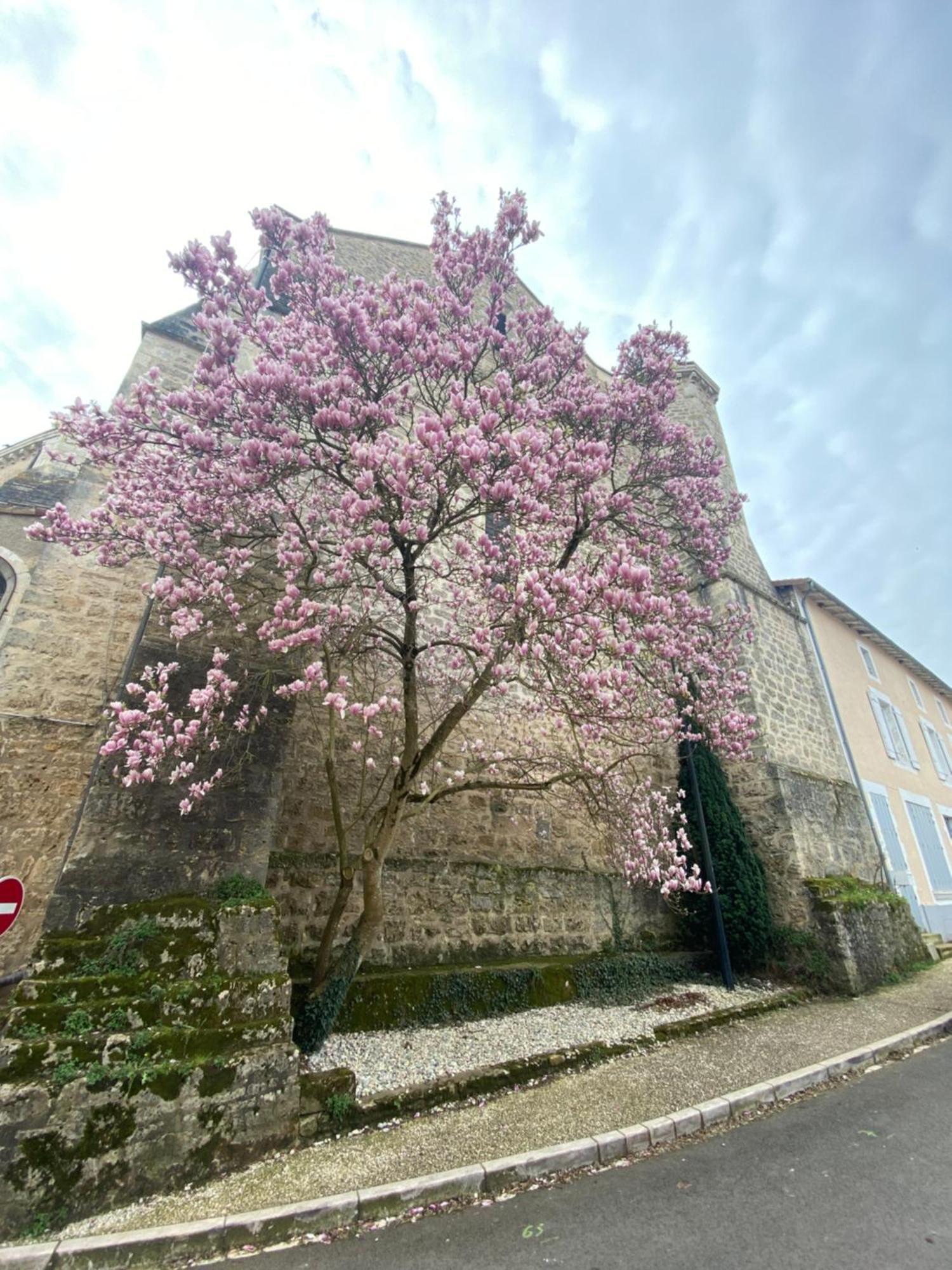 Logis Hotel Le Saint Georges Vivonne Exteriör bild